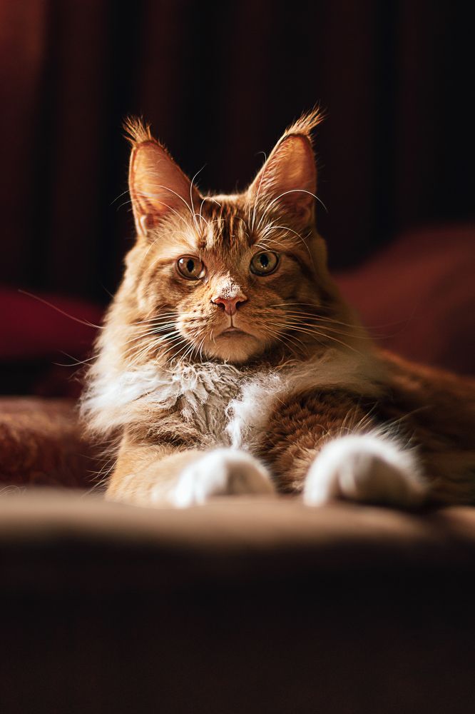 Photograph by Остапенко Алина