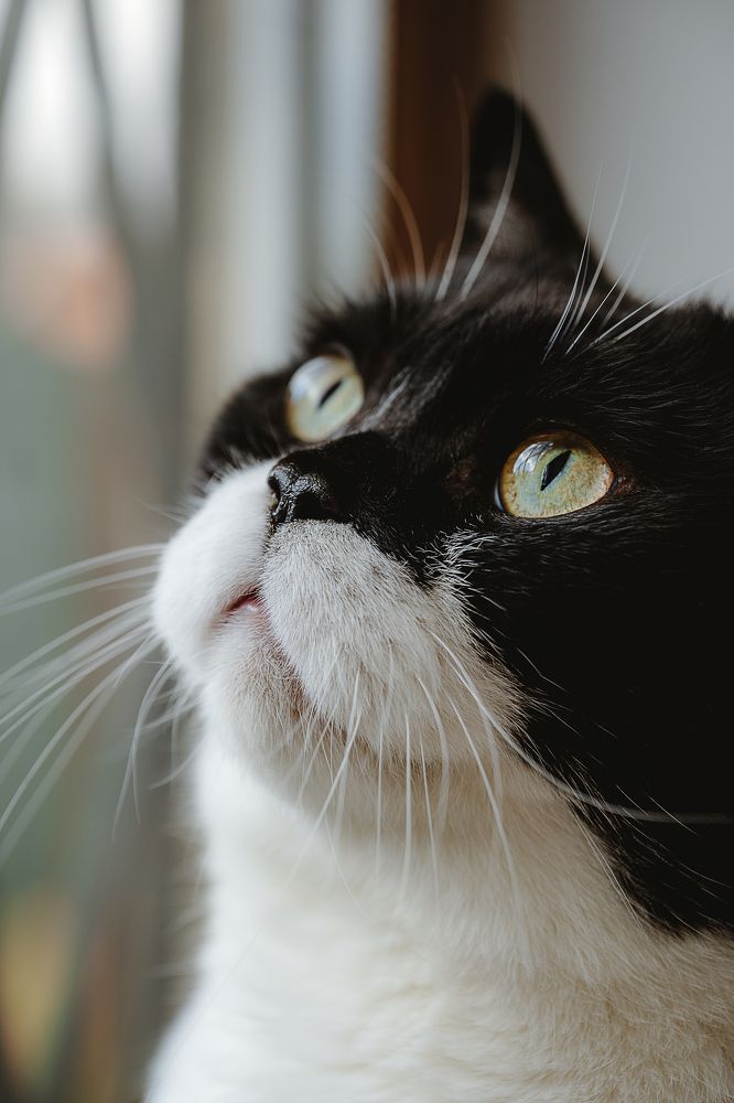 Photograph by Остапенко Алина