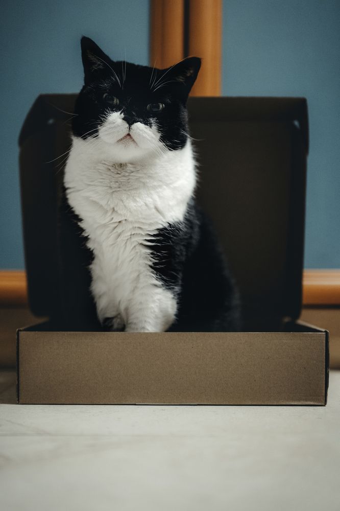 Photograph by Остапенко Алина