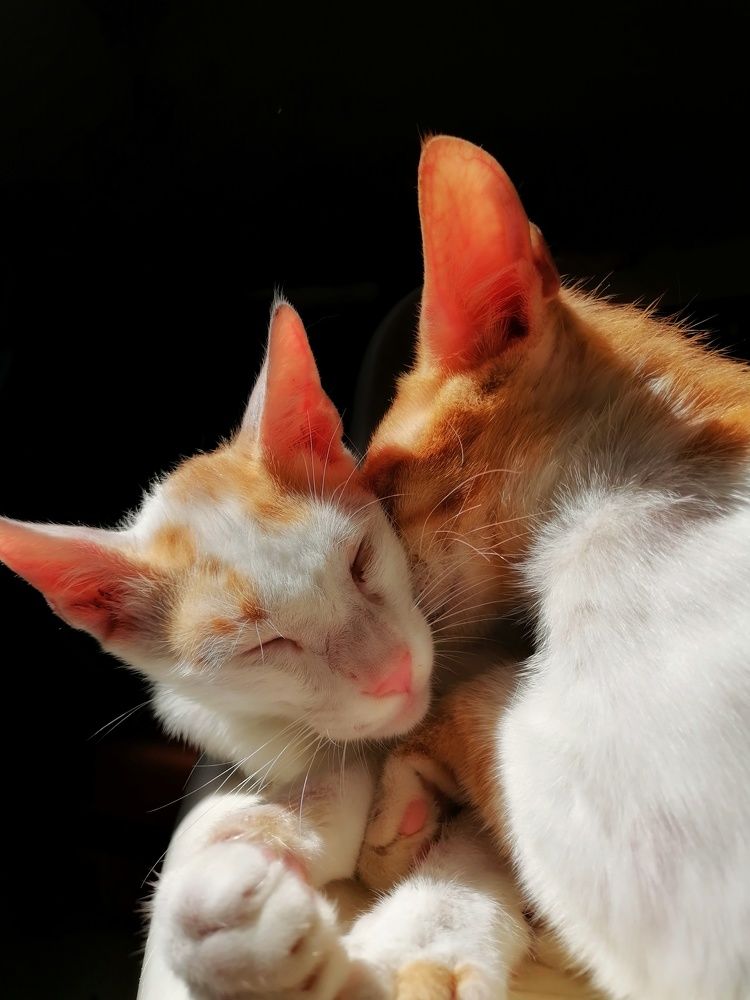 Фотография автора Abhitha