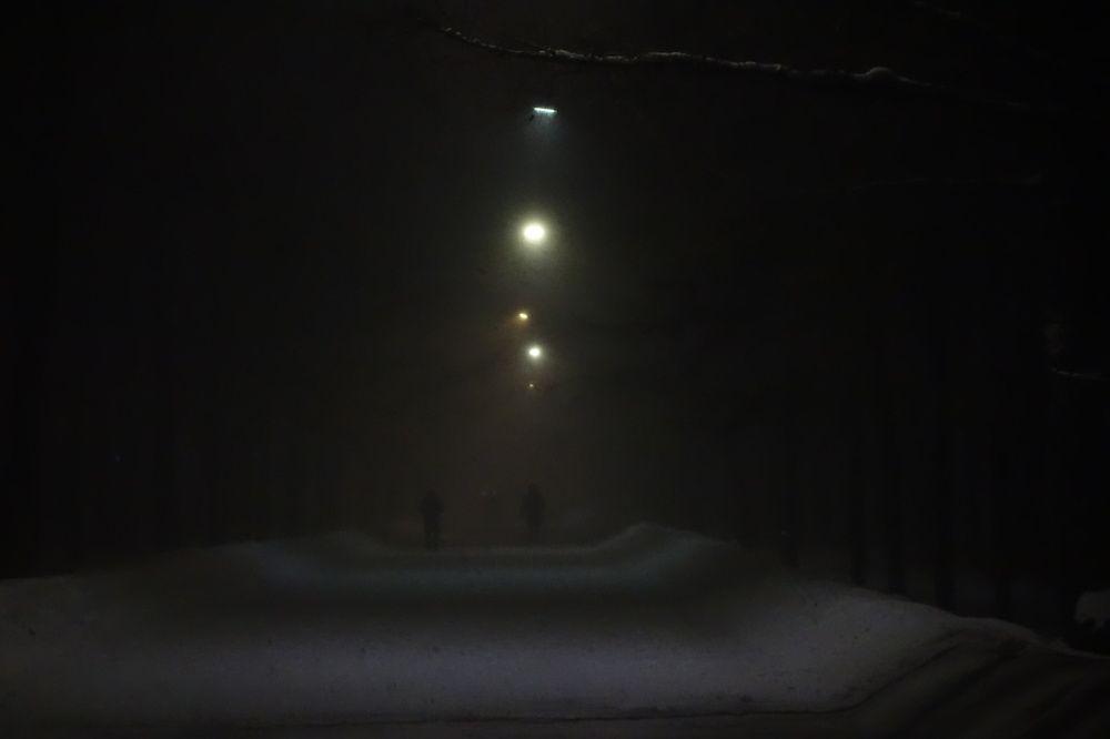 Photograph by Дарья Гришина