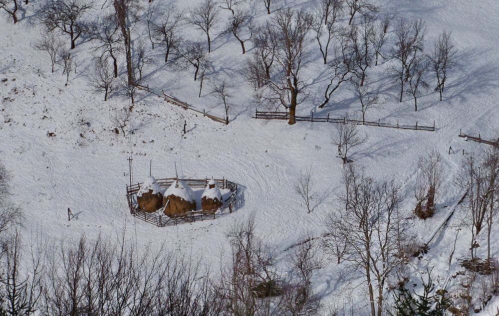 Winter in the country  .