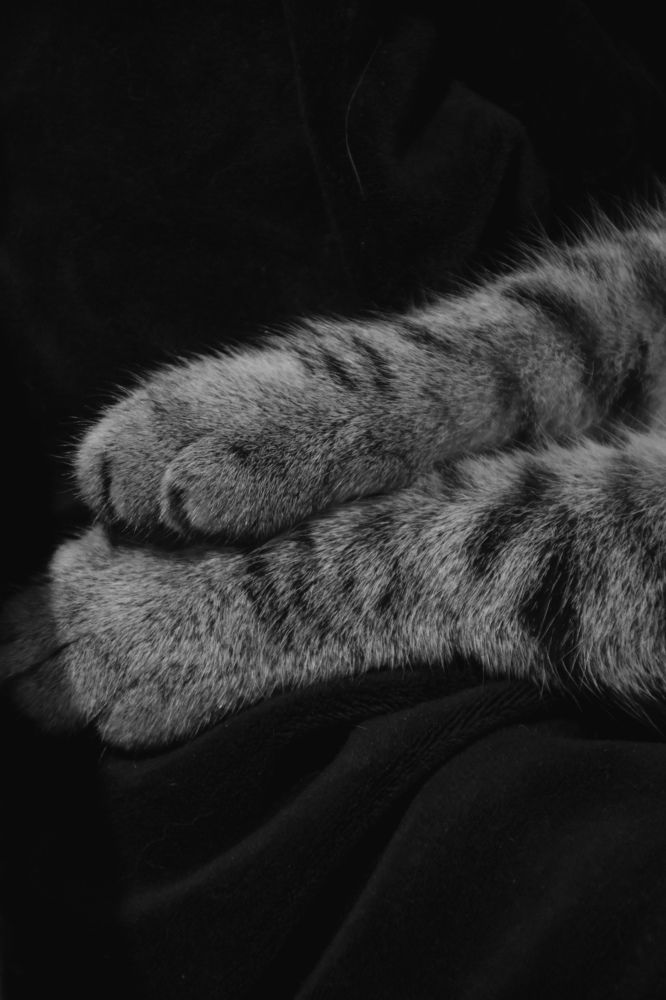 Photograph by Элеонора Безженова