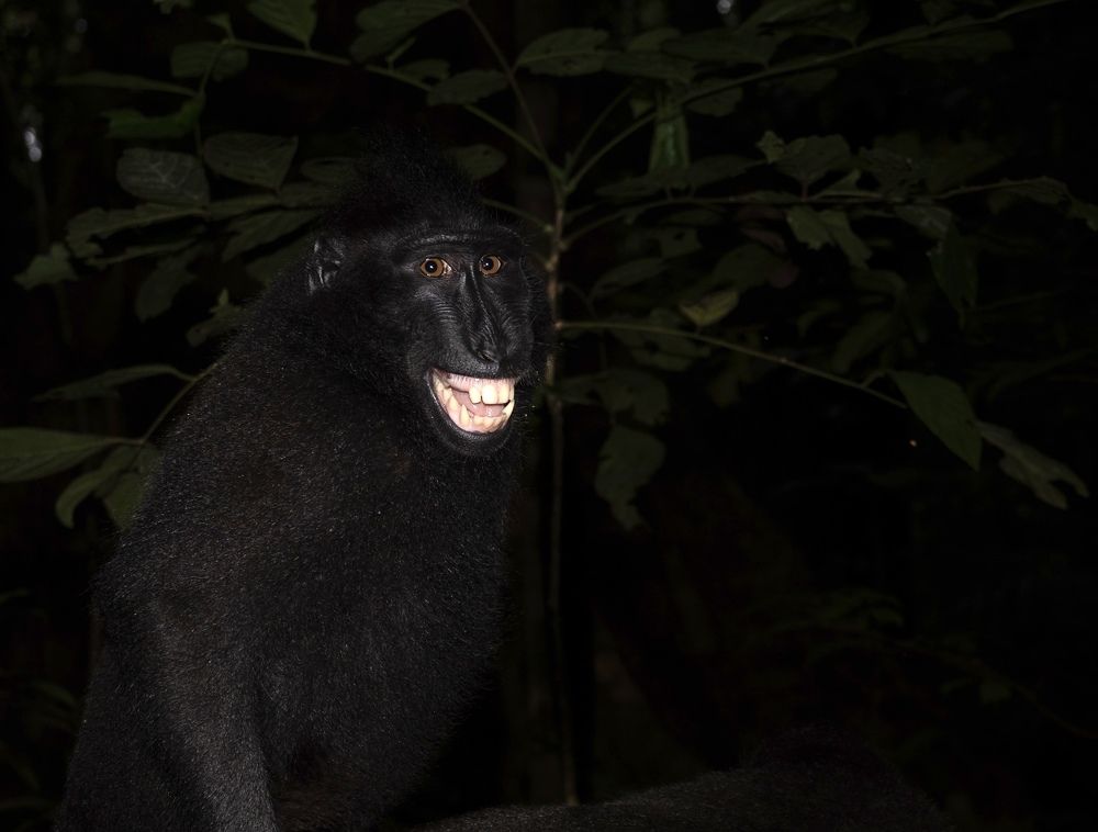 Photograph by Владимир Цветов