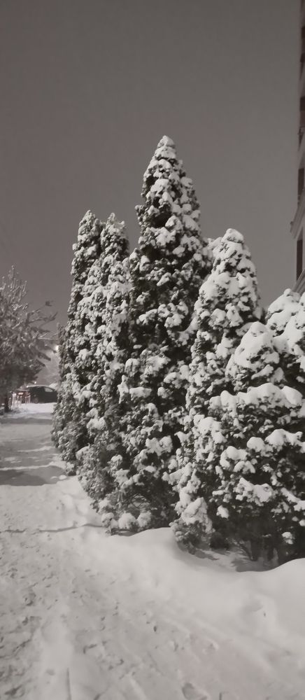 Photograph by Владислав Степанов