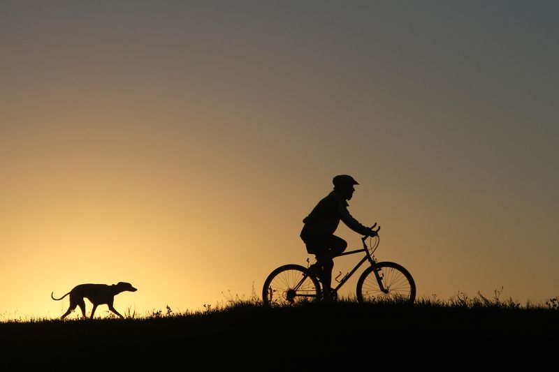 Vladimir Spiridonov, Russia