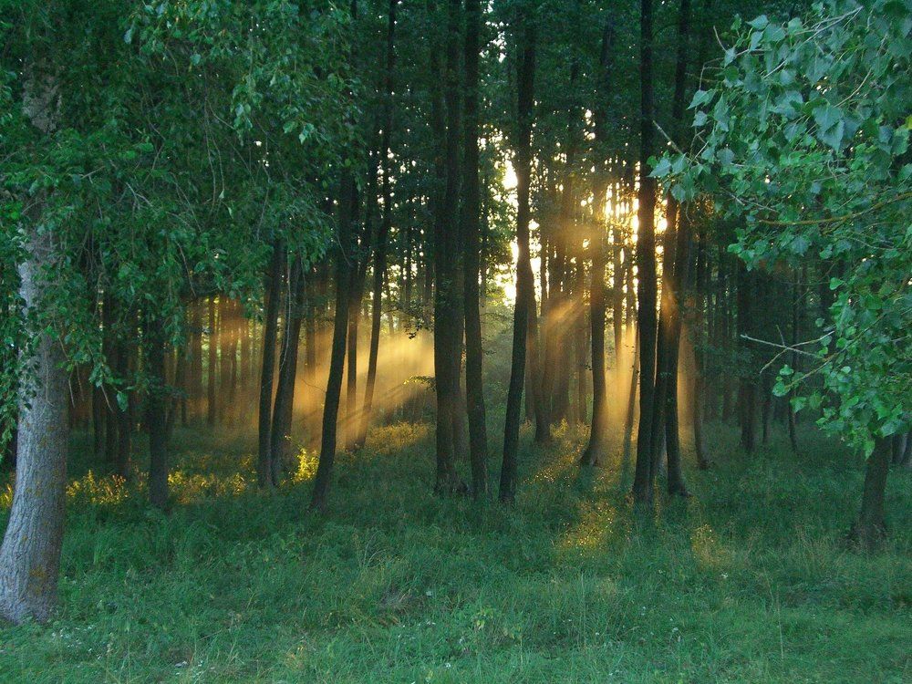 средняя полоса европы