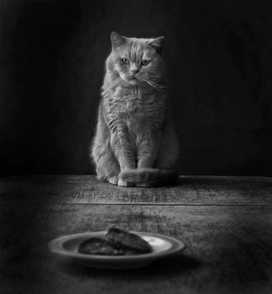 Два кусо-че-ка колбаски