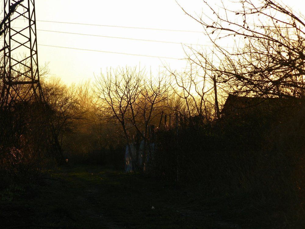 Photo #1175090