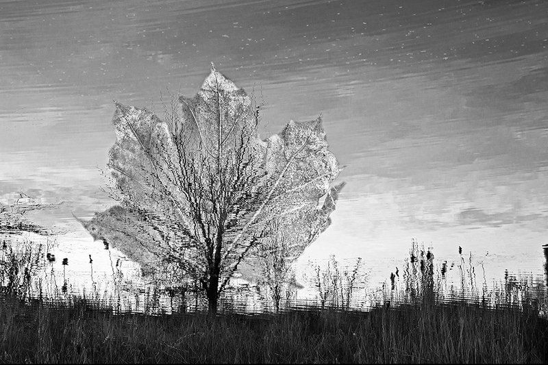 Hanna Ivanova, Russia