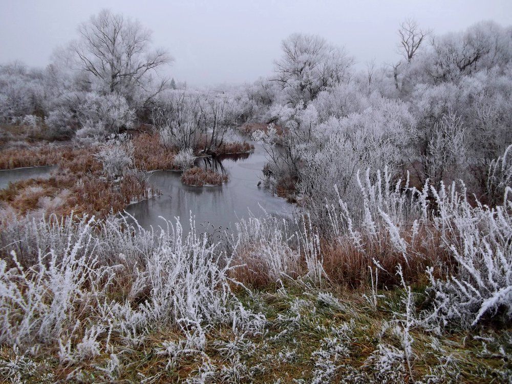 осенняя фантасмагория