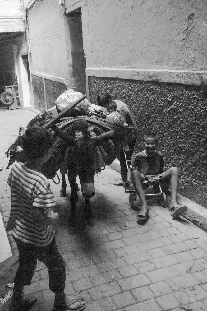 Осел-мусорщик и дети