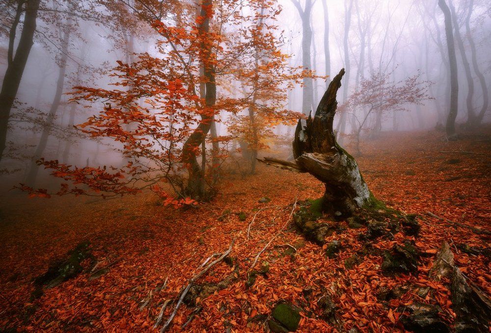 Двух поколений разговор