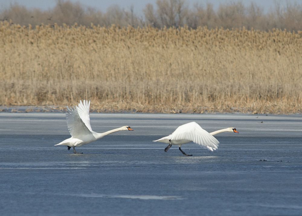 Photograph by Алексей Кашин