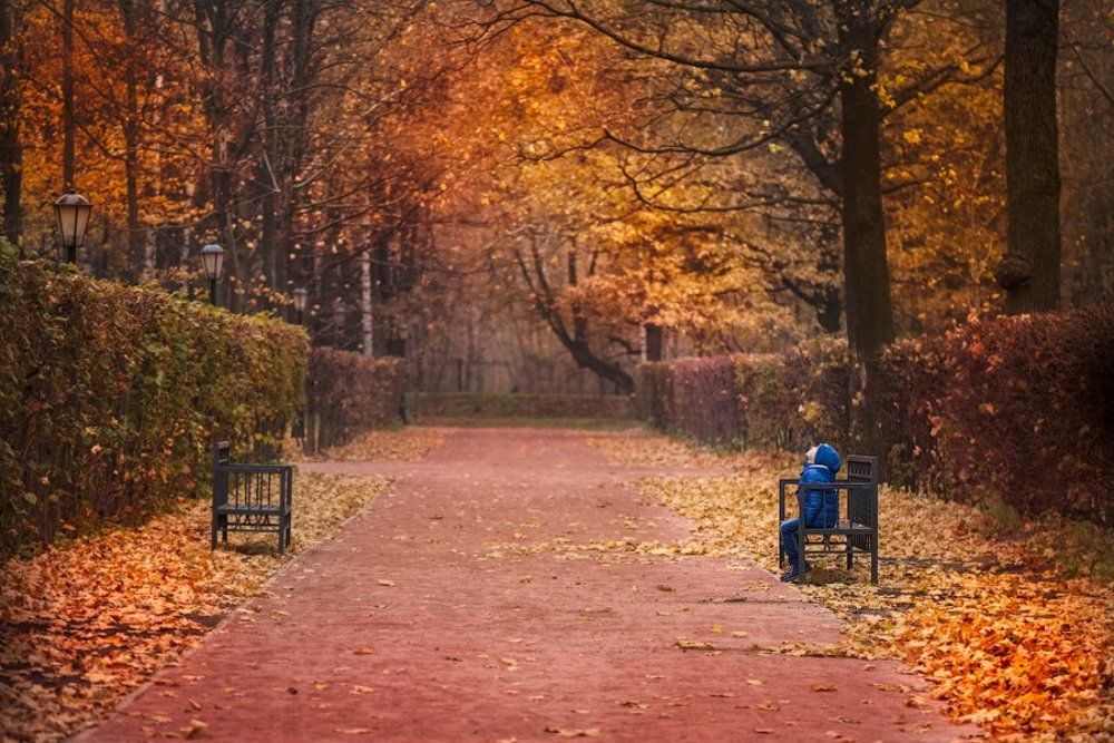 Photograph by Екатерина Плавская