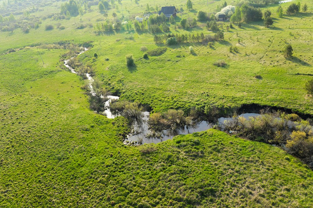 с выстоы птичьего полеа
