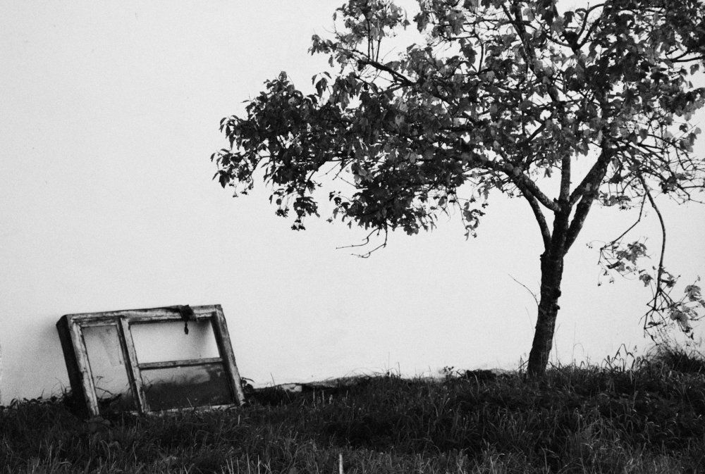 Photograph by Лиана