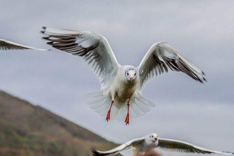 Маргарита Ерохина, Russia