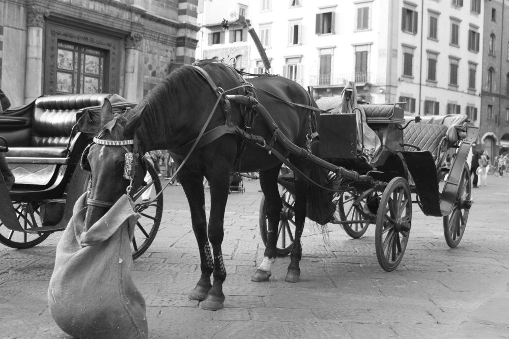 Фотография автора Вячеслав