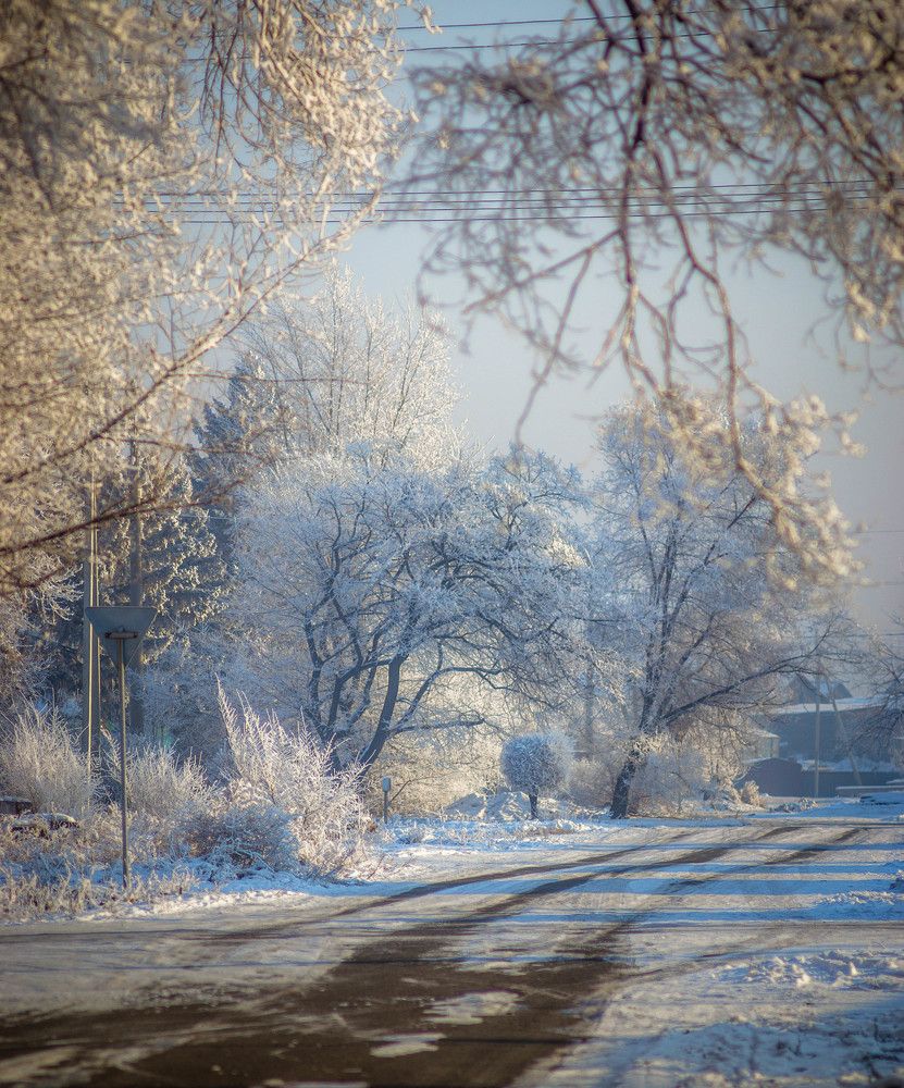сказка нашей улицы