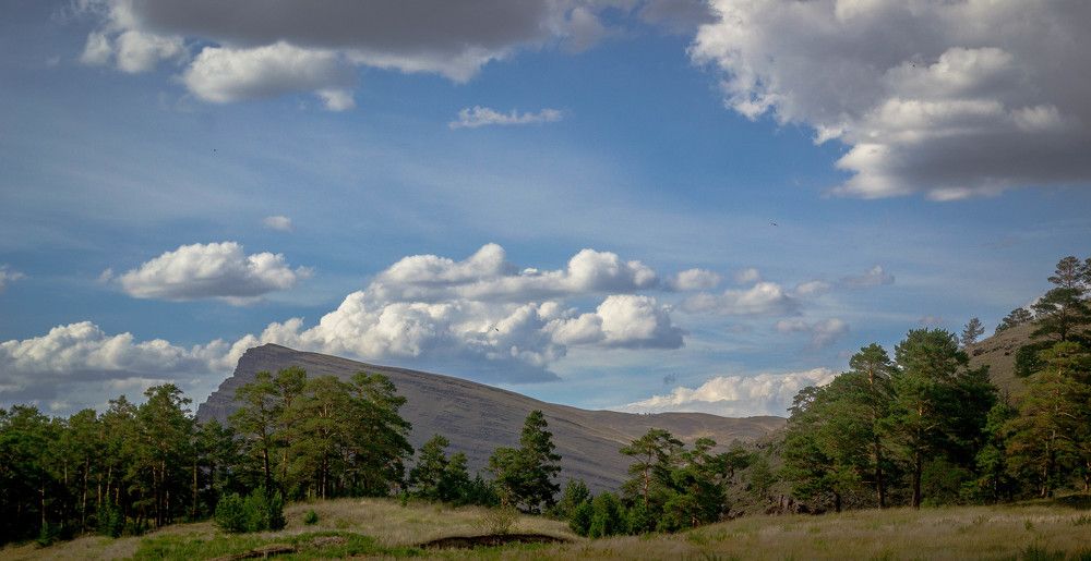 лето ах лето...