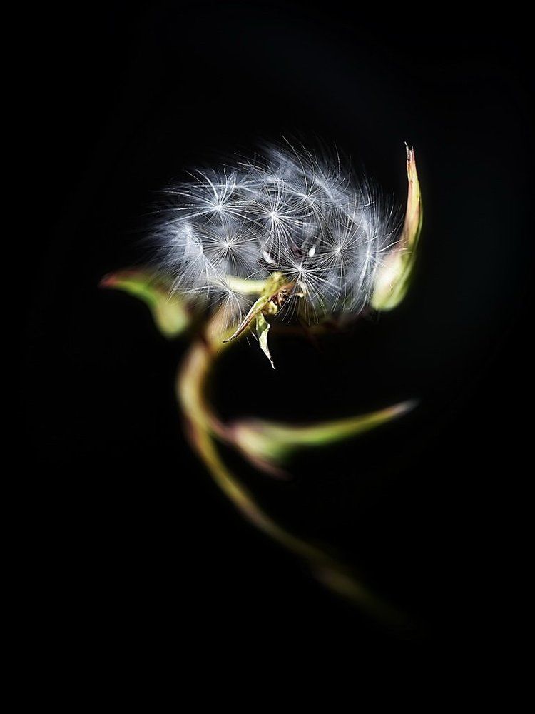 Мы смотрим в мир из разных окон...