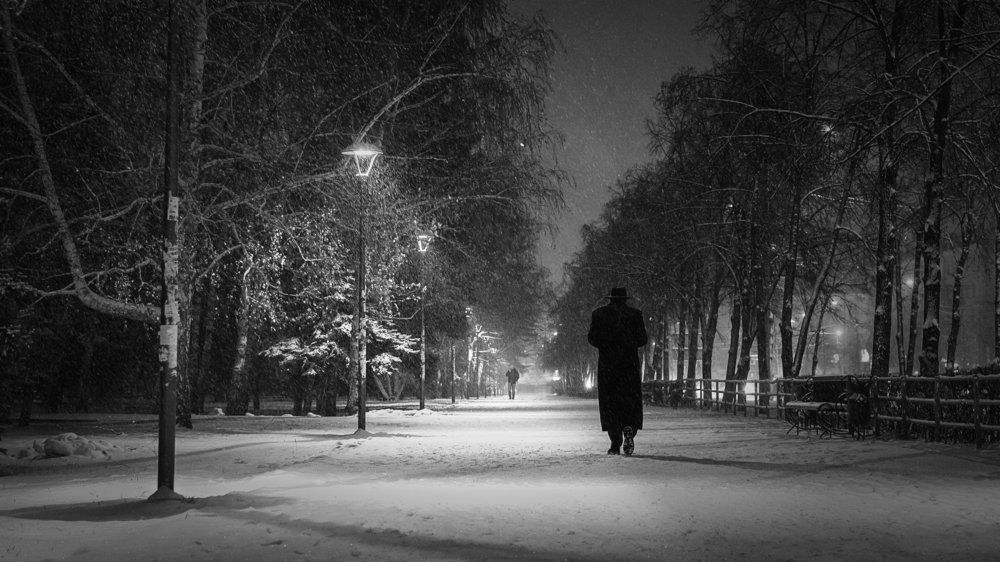 Вижу сон. Дорога черная.