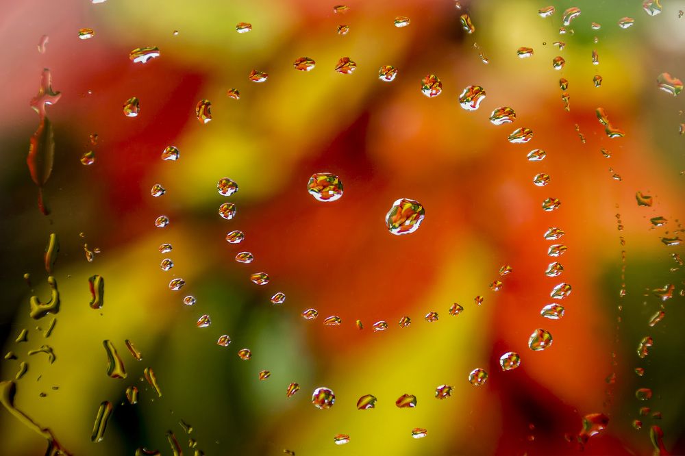 Не грусти! Осень- время ярких красок!