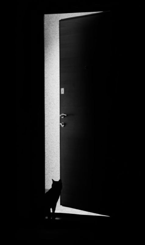 Michail Shneider, Russia