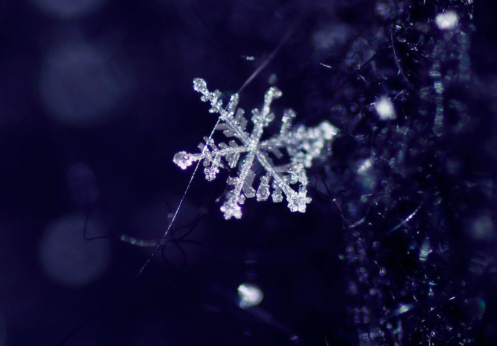 Photograph by Тараненко Анжелика