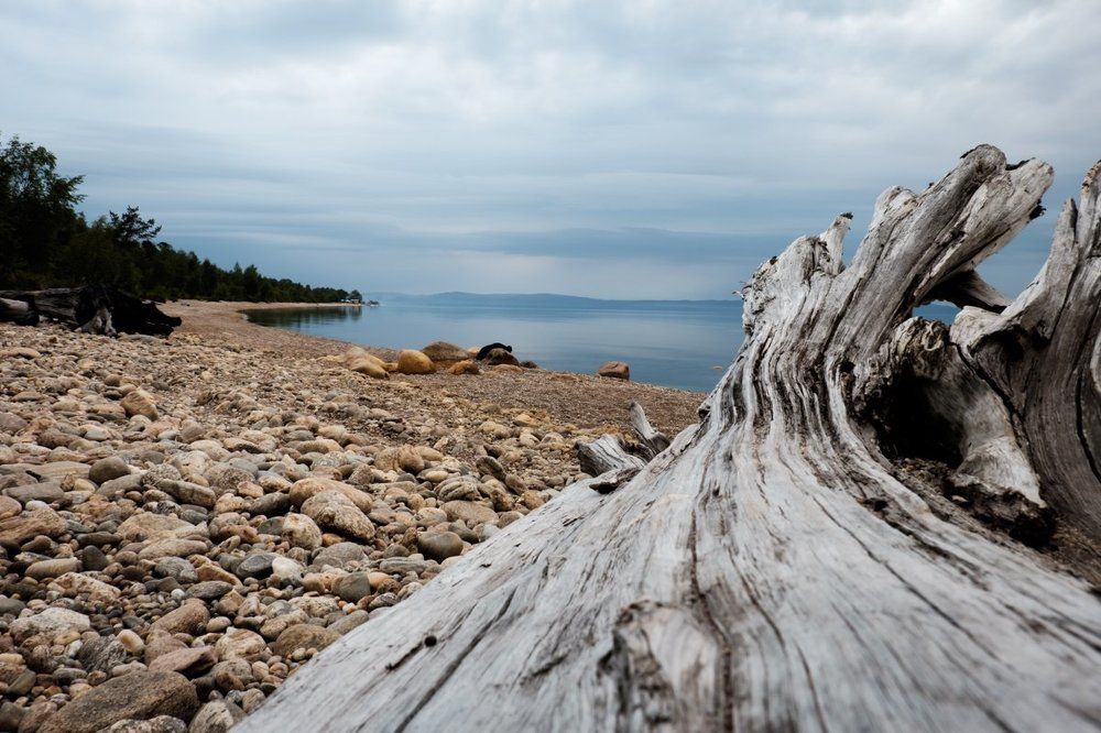 Жизнь продолжается