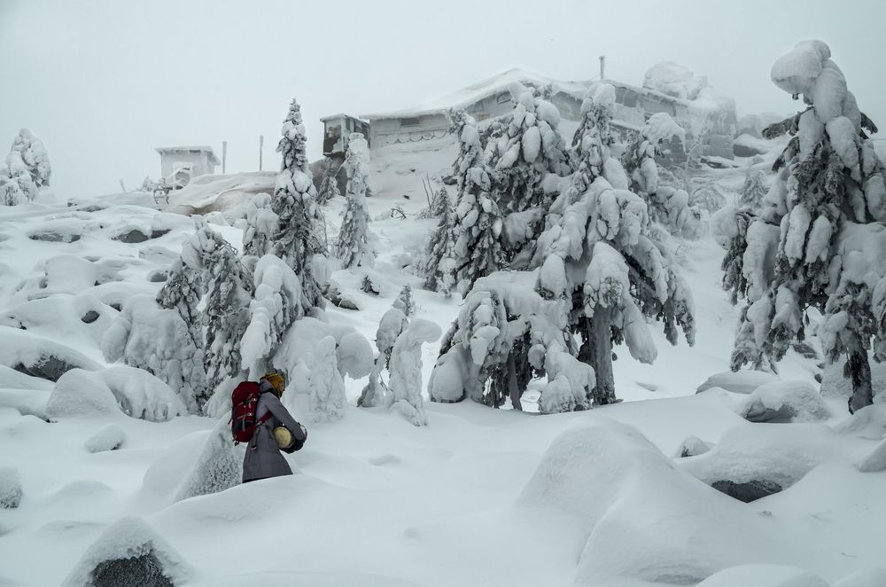 Посильная ноша