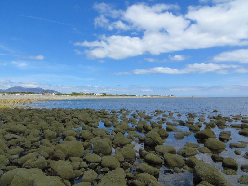 Екатерина, Great Britain