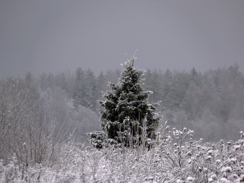 Photograph by Василий