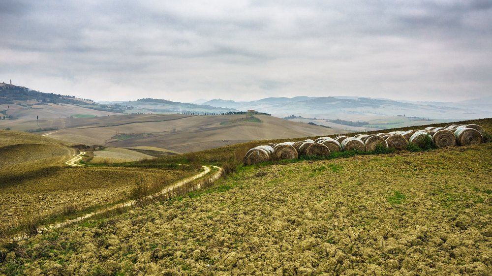 ОСЕНЬ В ТОСКАНЕ. Из серии "Toscana - amore mio"