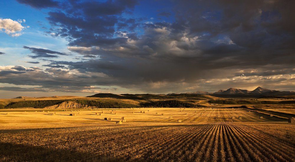 Провинциальное