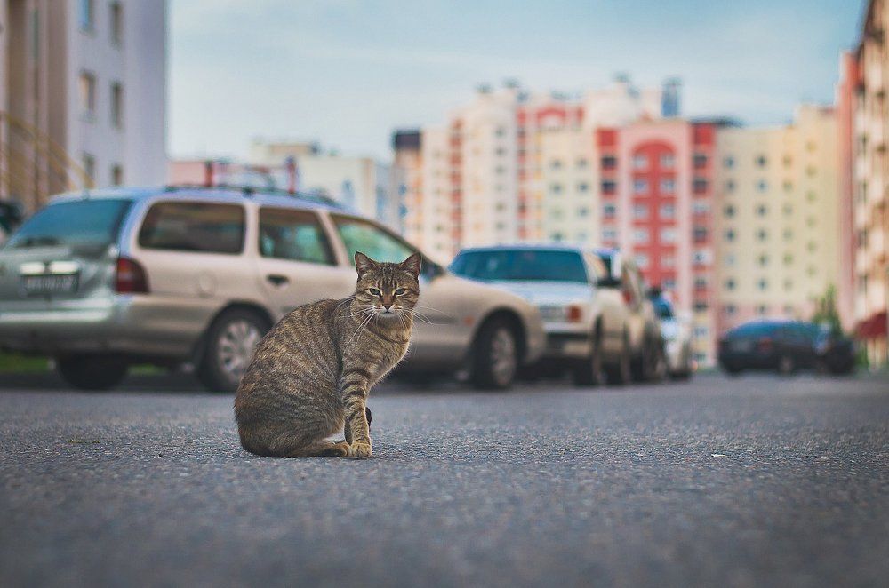 За секунду до...