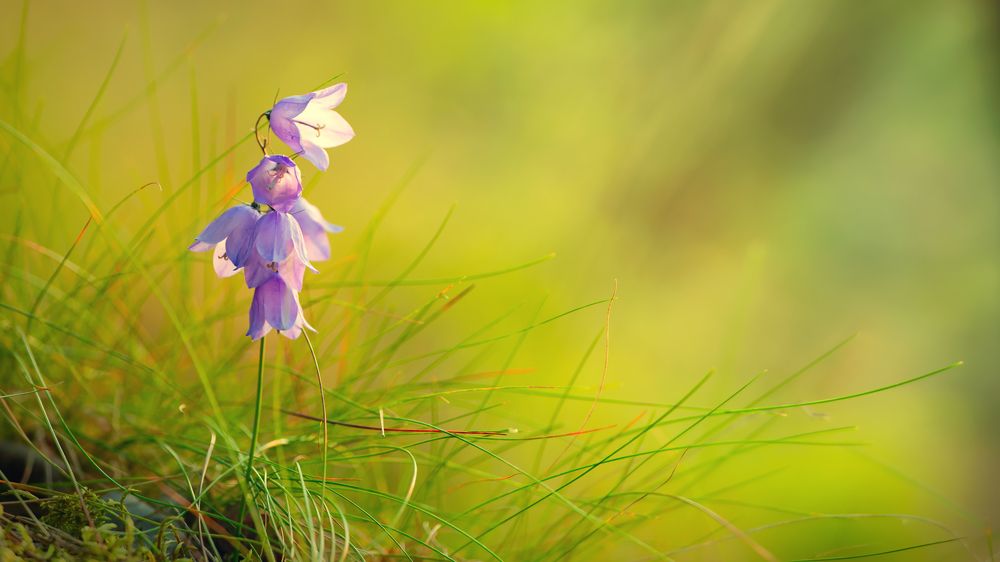 Вечер ярких красок