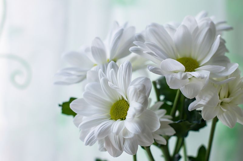 Andrei Naronski, Belarus