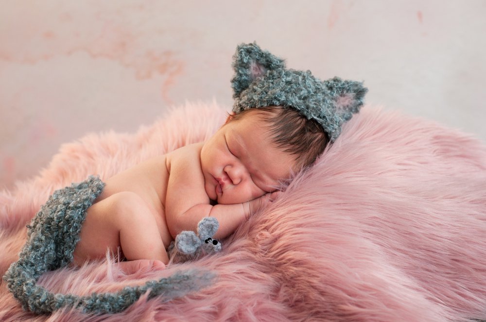 "Кошки-мышки"