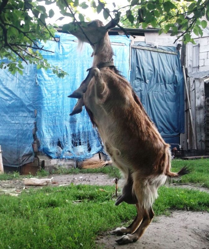 евгения, Ukraine