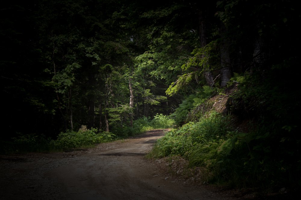 куда ты тропинка меня заведешь?