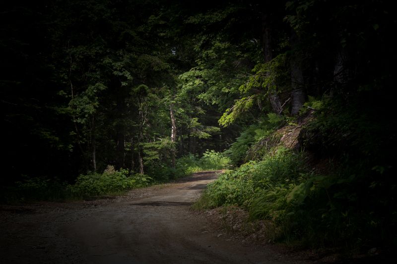 Natalya Litvinchuk, Russia