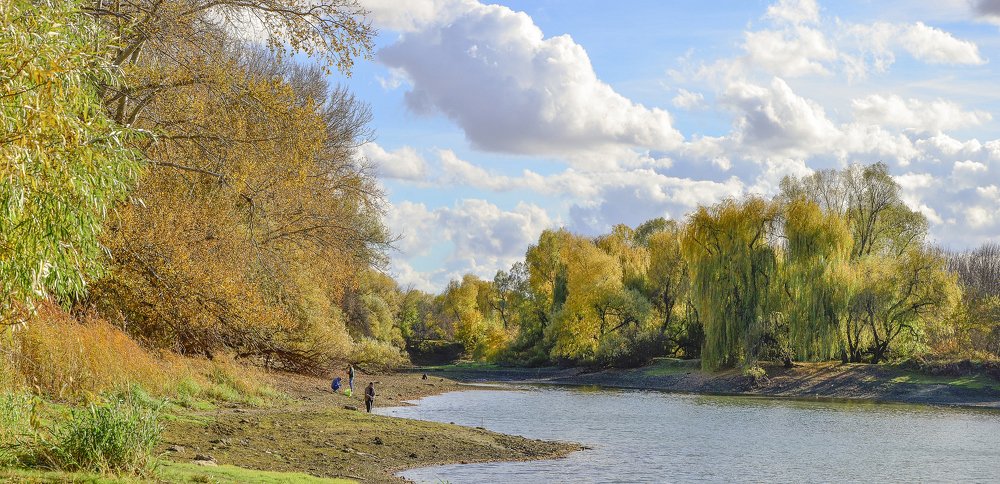 Краски осени