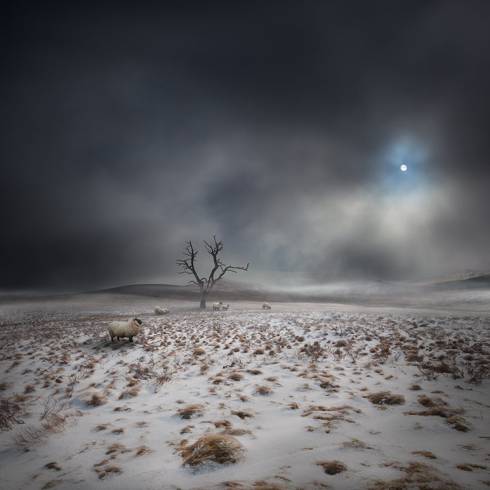 Land OF THe Midnight Sun