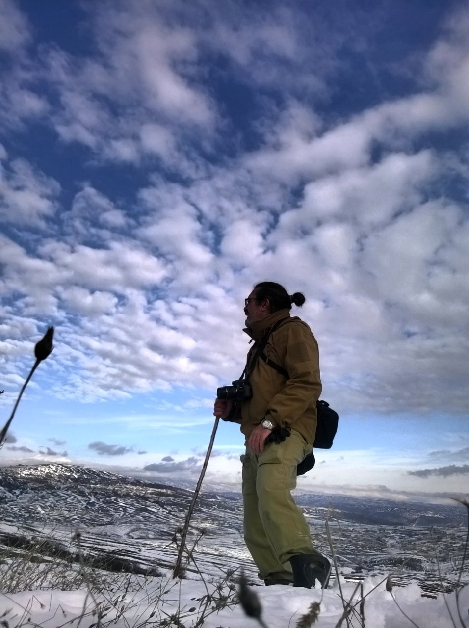 Photo #1178324