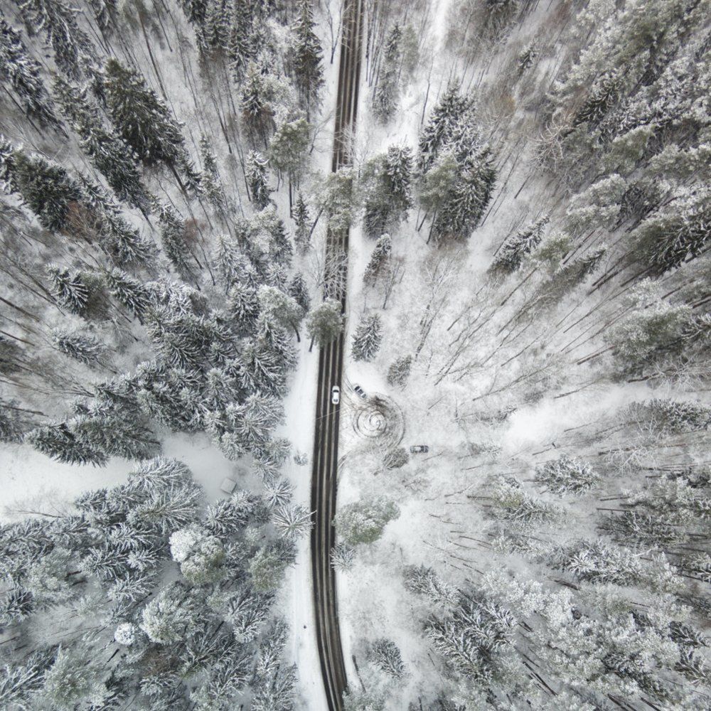 зимняя дорога