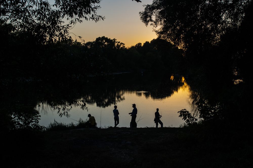 Ночное увлечение