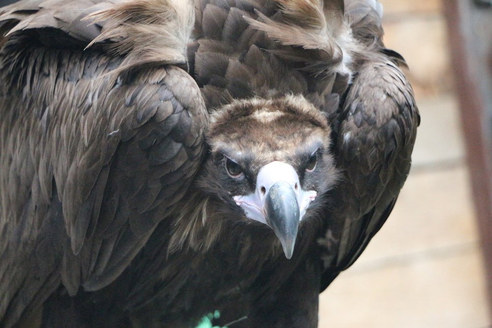 Photograph by Сергей Фалевич