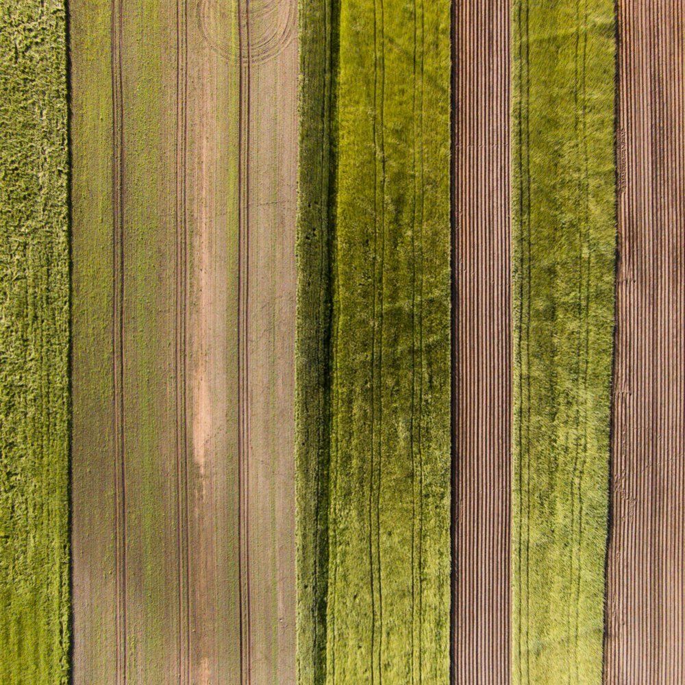 эко штрих-код